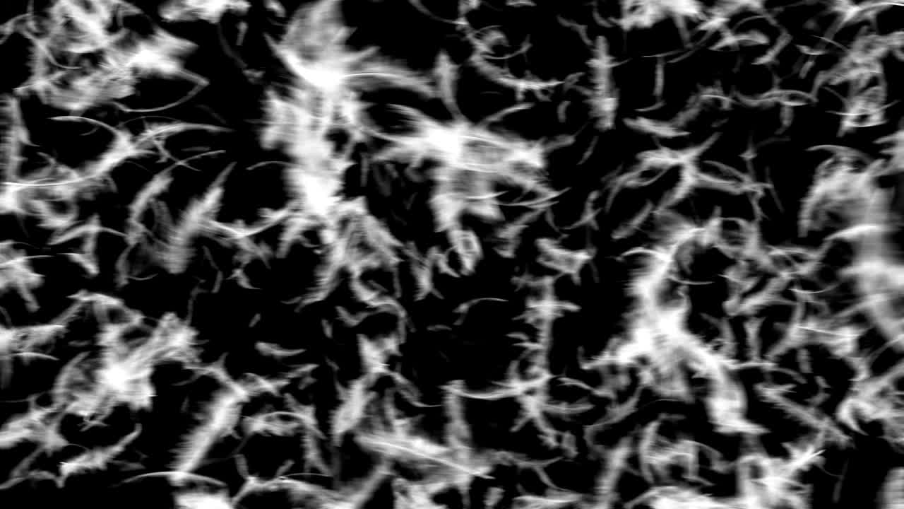 transición de las plumas que caen