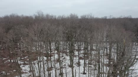 Flying-Over-Wooded-Farmland-Northern-New-York---4k-Aerial