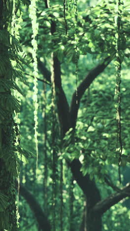 la selva verde y exuberante