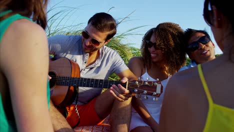 personas multiétnicas con guitarra disfrutando de un picnic en la playa