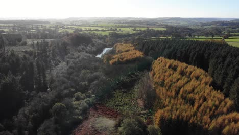 aerial view of woodland forest located in blackdown hills area of outstanding natural beauty south of otterford in somerset