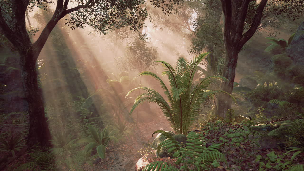 나무들을 통해 필터링되는 빛으로 조명된 신비한 숲의 길
