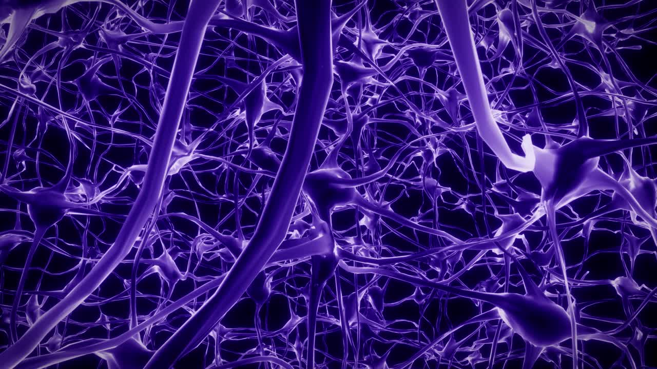 neuronas cerebro mente axón pensamiento red neuronal holograma célula ciencia de la salud 4k