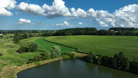 Sauberes-Wasser,-Ländliche-Felder-In-Natürlicher-Umgebung