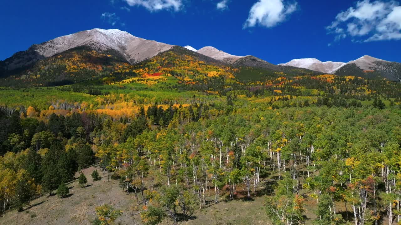 Mt Mount Shavano 14er Tabeguache Peak aerial drone Colorado trail Sawatch Range fall autumn aspen trees San Isabel National Forest snow dusting morning vibrant blue sky camping hike backwards pan up