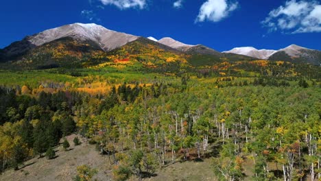 mt mount shavano 14er tabeguache peak aerial drone colorado trail sawatch range fall autumn aspen trees san isabel national forest snow dusting morning vibrant blue sky camping hike backwards pan up