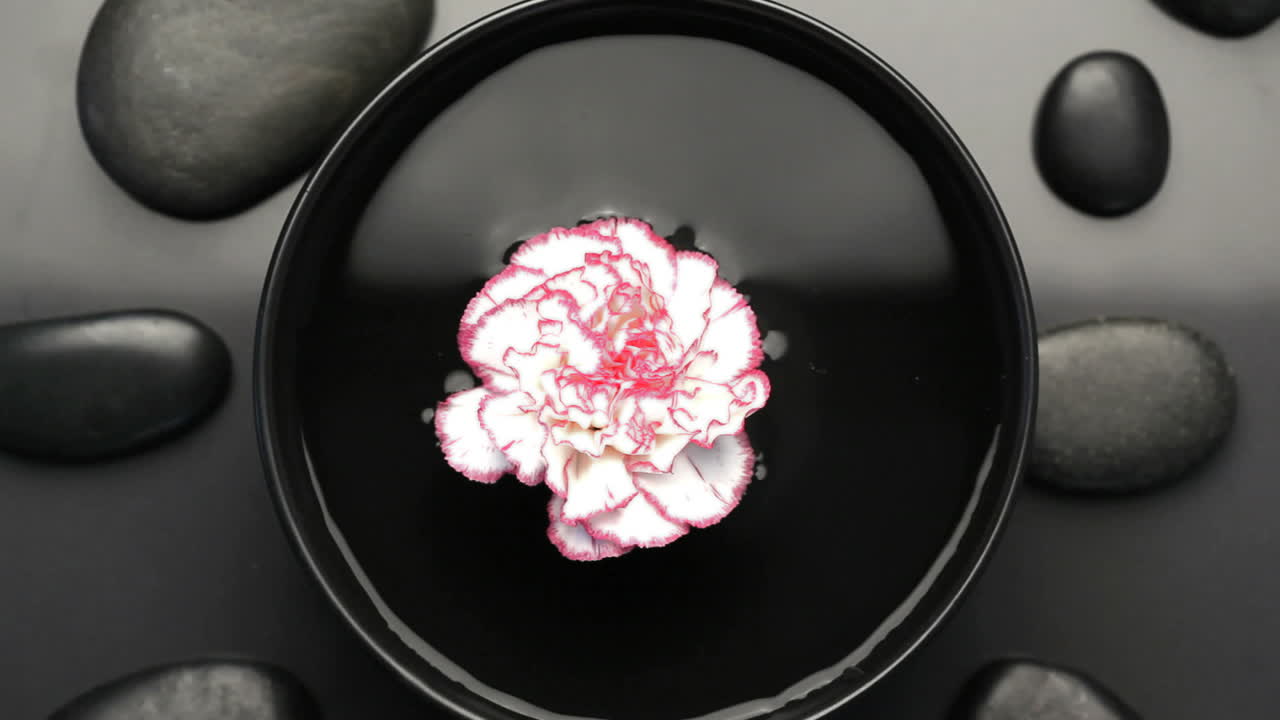 Bellissimo fiore che ruota su se stesso