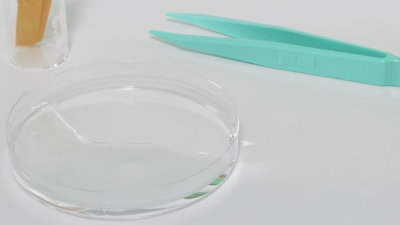 A gloved hand uses tweezers to dip litmus paper into a petri dish with water.
