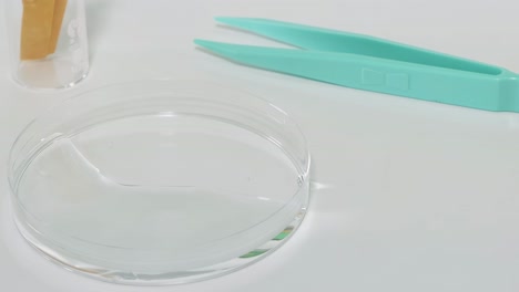 a gloved hand uses tweezers to dip litmus paper into a petri dish with water.