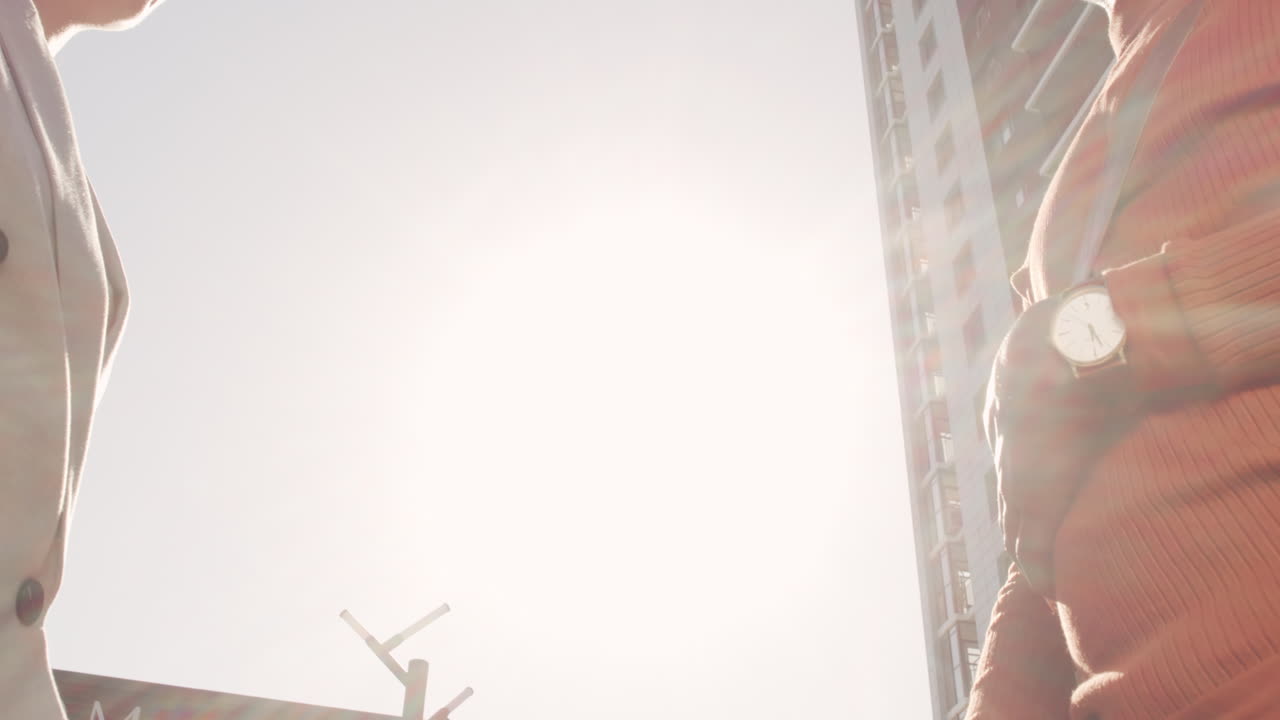 Handshake of Interracial Business Partners