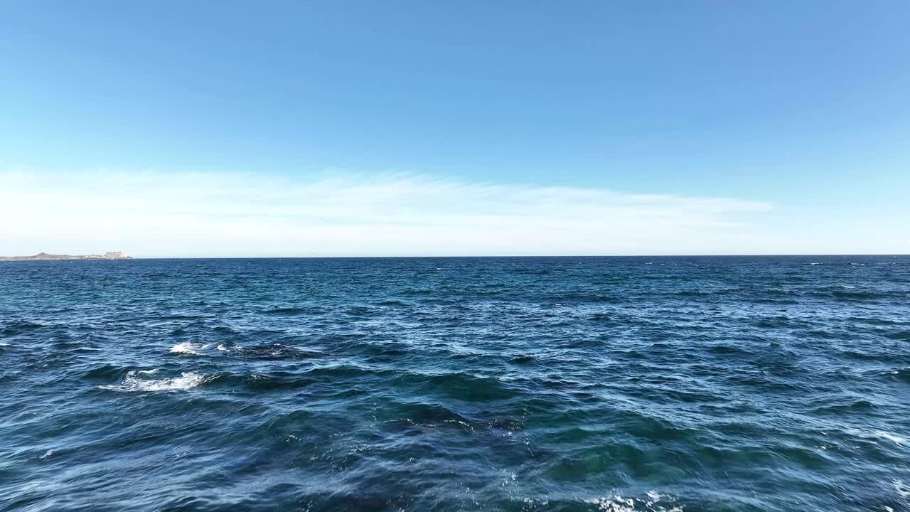 칠레의 알가로보 해변 바위 위에서 날아다니는 항공기