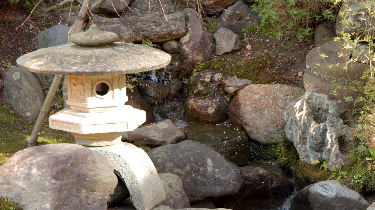 Un'inquadratura fissa cattura una lanterna di pietra e acqua che scorre in un giardino roccioso zen.