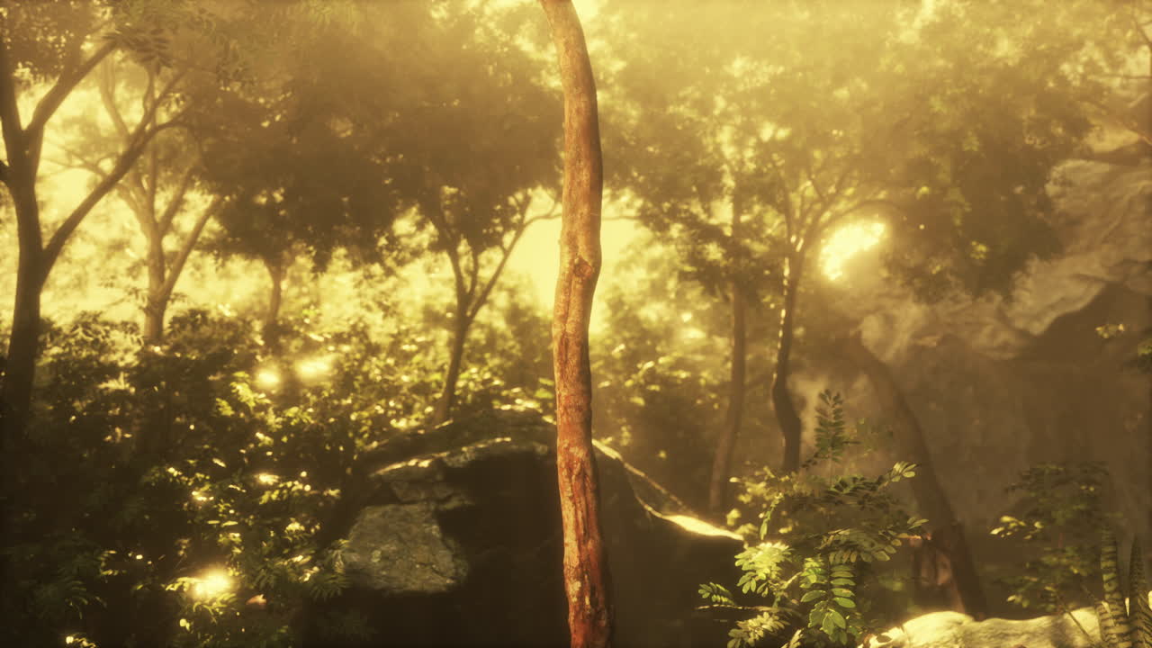 아름다운 정글 정원에서 아침 빛