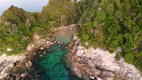 seals swim in lagoon in remote island aerial birds eye shot