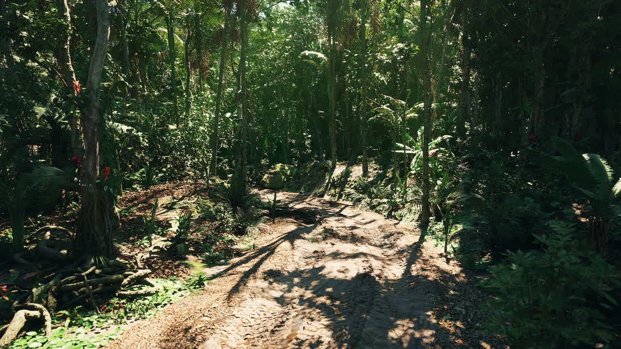Lush forest path in paraguay highlighting natures tranquility and beauty