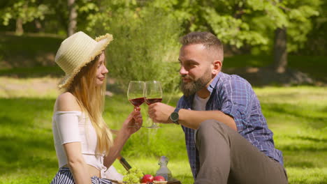 couple enjoying a picnic in the park with wine