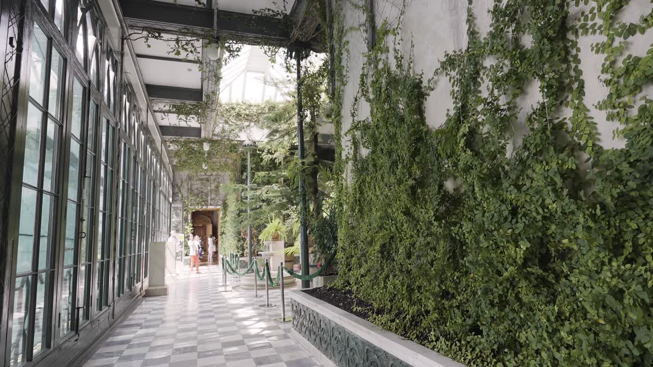 Corredor Elegante de Estufa com Plantas Exuberantes