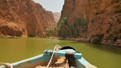 boat sailing through canyon lined with palm trees and towering red cliffs