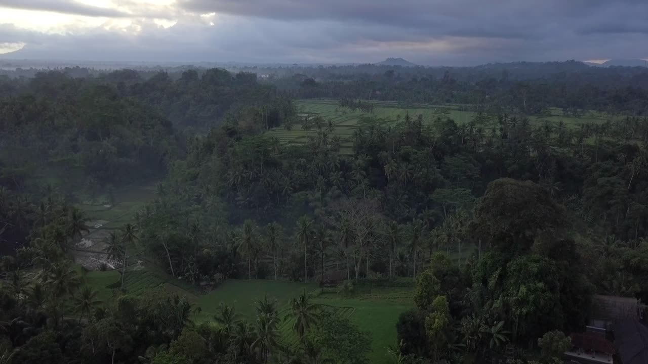 antena: terrazas de arroz en ubud bali
