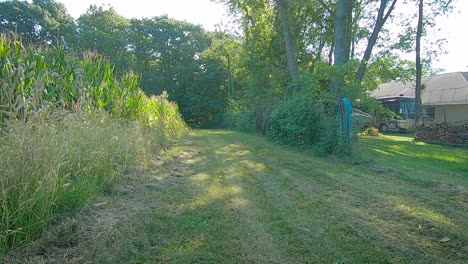 slow motion, pov driving on a grass path along a corn field, yard and timber stand