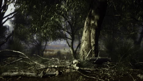 winding roots and ancient trees in a tranquil forest setting at dusk