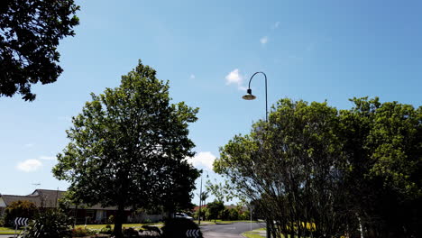 perfect summer day in peaceful neighborhood with stunning blue sky, slow motion