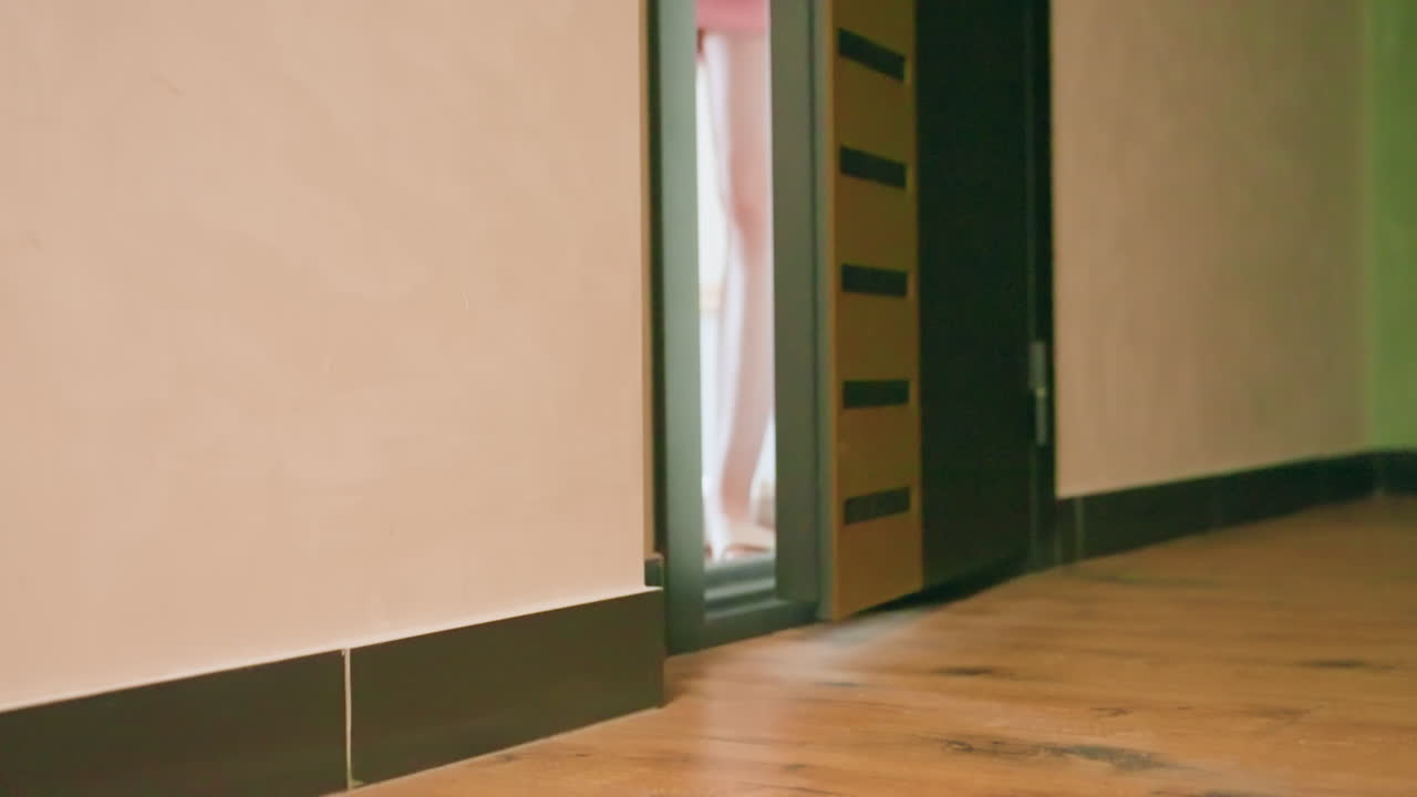 Small Puppy Quickly Runs Outside Main Gate, Owner Opens Door As Puppy Happily Ventures Into Corridor, Dog Joyfully Escapes While Owner Opens Door For Excited Puppy To Enter Hallway