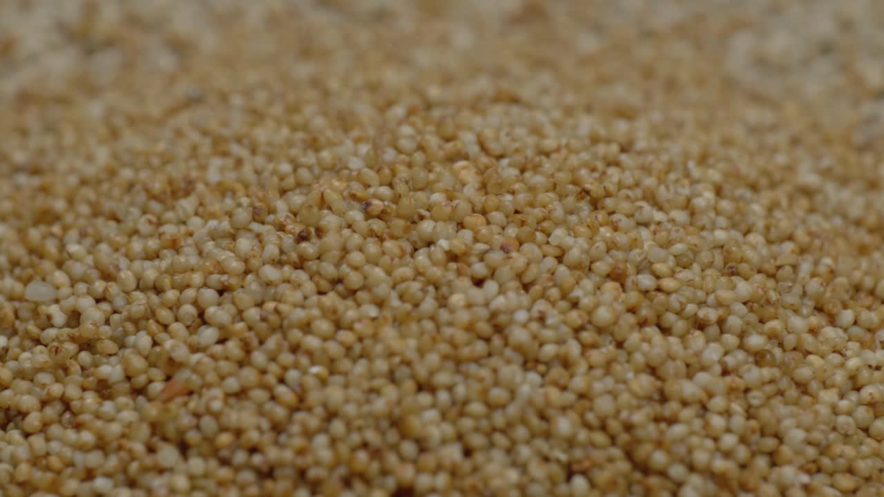 kodo millet grains close up parallax shot, 4k