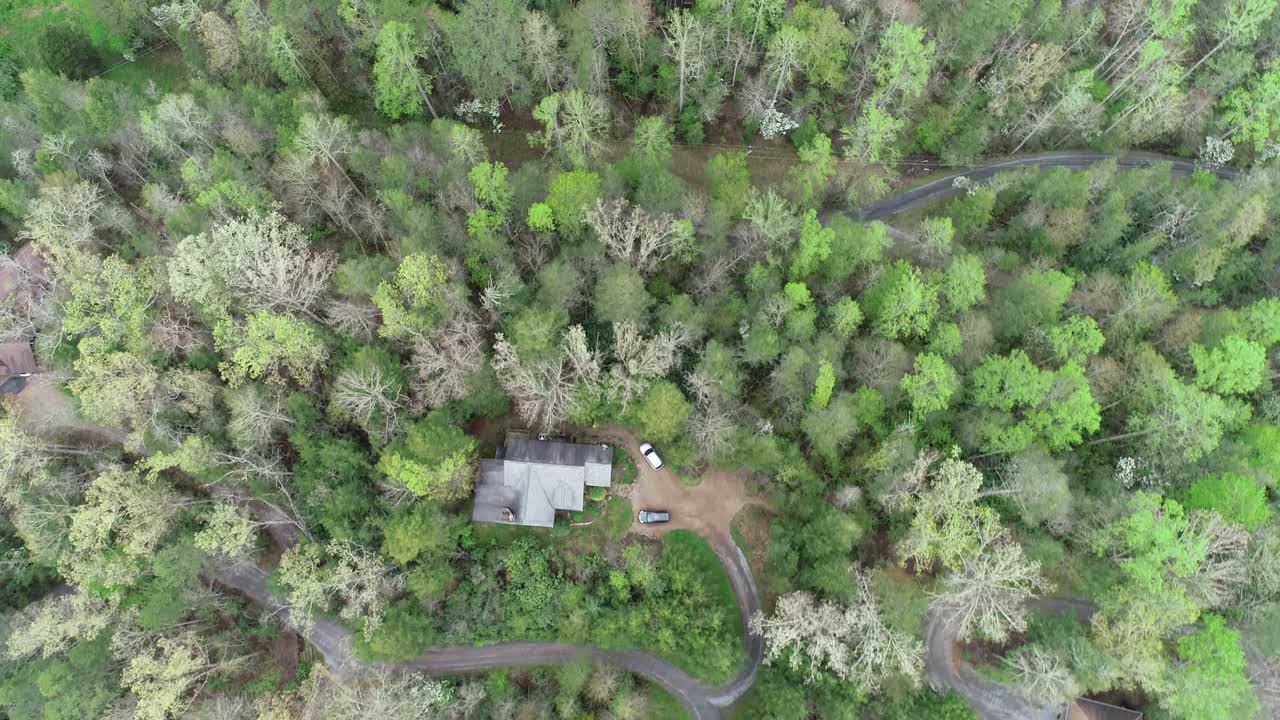 vista aérea de la copa de un árbol en el bosque de tennessee