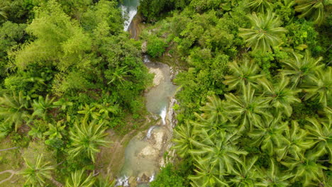 aerial shot inambakan waterfalls colourful green blue water, cebu, philippines