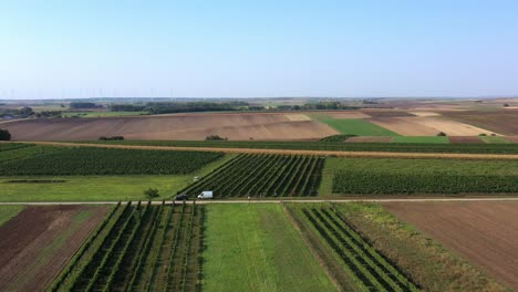 Aerial-view-showing-road-between-large-Vineyard-fields-during-blue-sky-and-sun-in-Lower-Austria---Cinematic-panorama-view-over-several-cultivation-area