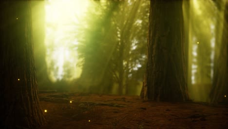 firefly in misty forest with fog