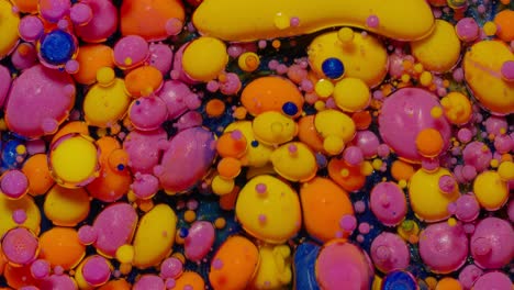 abstract colorful bubbles in oil and water