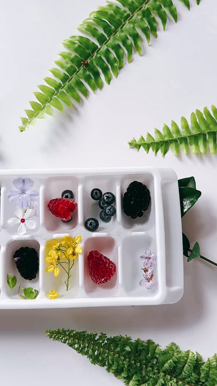 신선한 베리 및 꽃 얼음 큐브