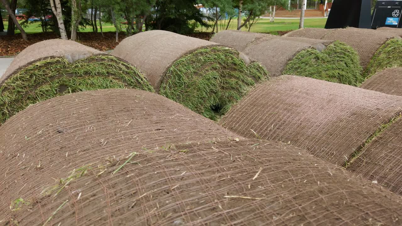 rollos de hierba filas de césped estático rockies banff alberta canadá