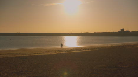 una pareja camina por la playa con un perro al amanecer, retroiluminada