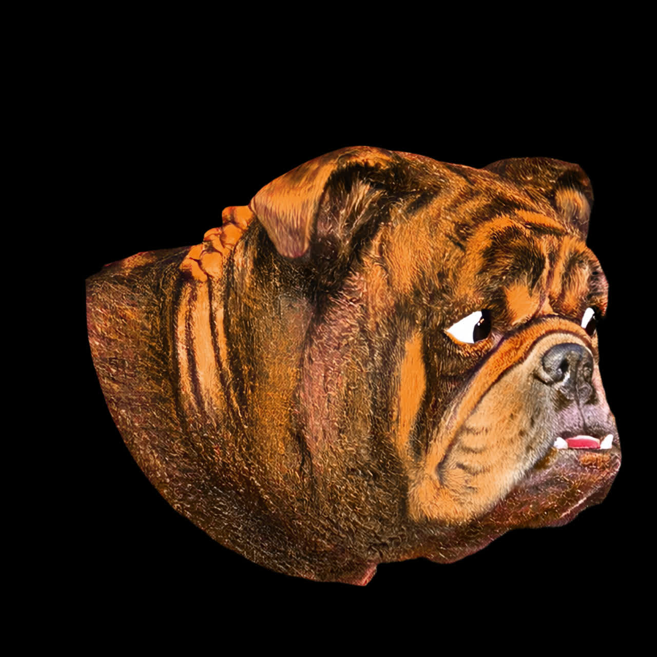 Cabeça de Bulldog Animada com Listras de Tigre em Fundo Preto