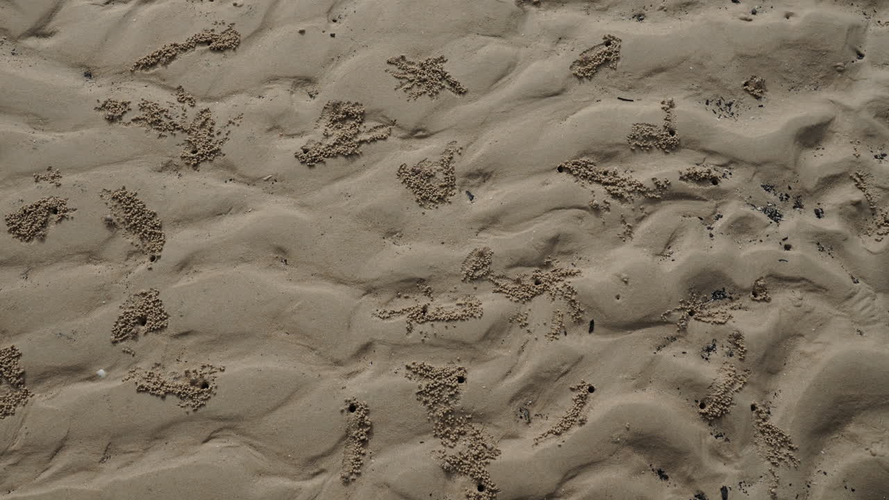 4k,29,97fps 타임랩스. 소니 a7iii