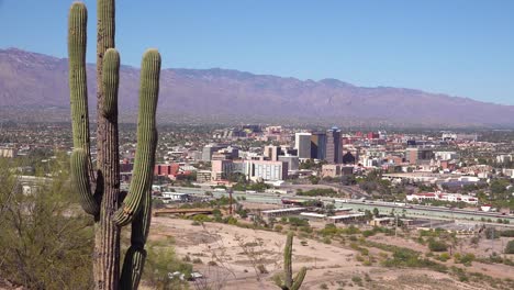 an establishing shot with cactus of tucson arizona