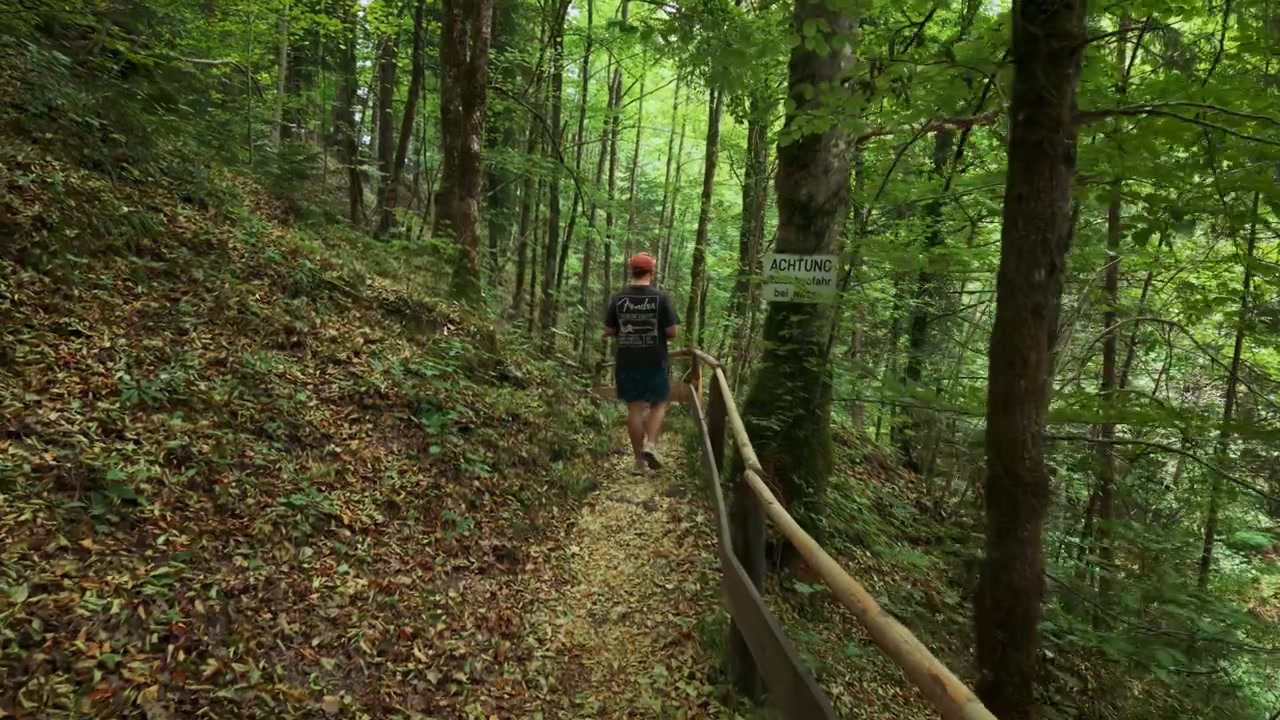 Male hiker walking along a leafy forest trail near the wooden railing, follow shot, rear view.