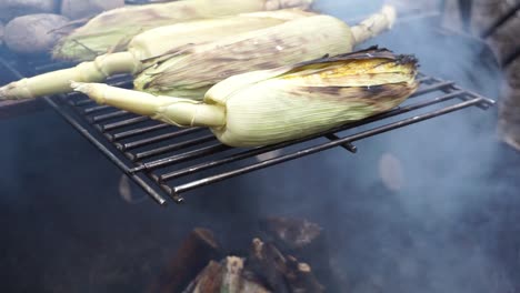 Making-corn-on-the-cob-over-an-open-fire-flame