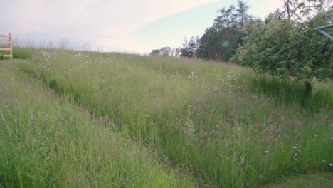 Blick-über-Wunderschönen-Garten-Mit-Fußballtor-Und-Weg