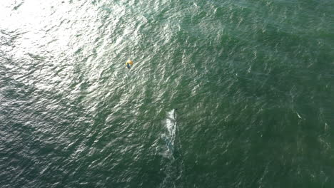 AERIAL:-Top-View-Shot-of-Isolated-Surfer-Riding-Waves-on-a-Green-Colour-Baltic-Sea