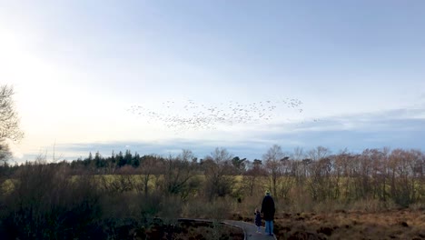 a mother and daughter watching a large flock of migrating geese flying overhead