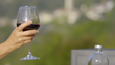 two friends holding red wine tapping glasses for cheers