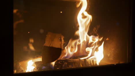 Vista-Desde-El-Interior-Del-Fuego