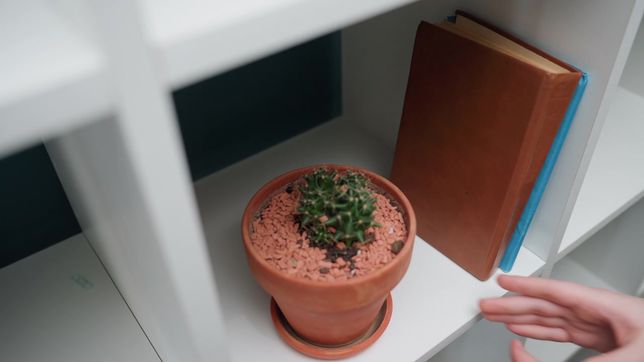 Posizionando libro e pianta sullo scaffale con le mani, l'inquilino sistema un vaso in terracotta e un diario all'interno di scaffali a cubo bianchi durante una tranquilla sessione di disimballaggio e styling in un nuovo appartamento, arredamento moderno minimale.
