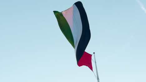 uae flag