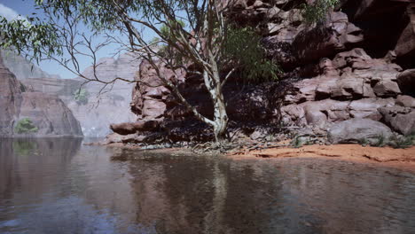 Reflejo-Del-Gran-Cañón-En-El-Río-Colorado