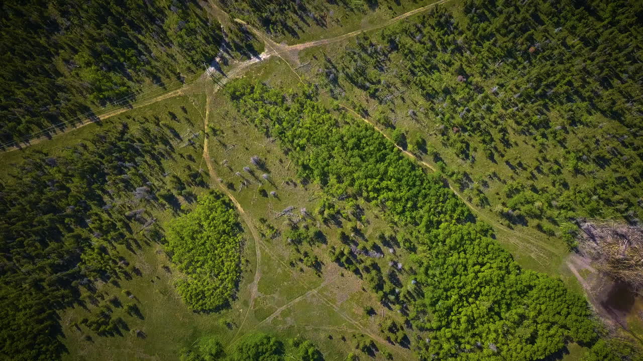 vasto desierto de árboles y senderos
